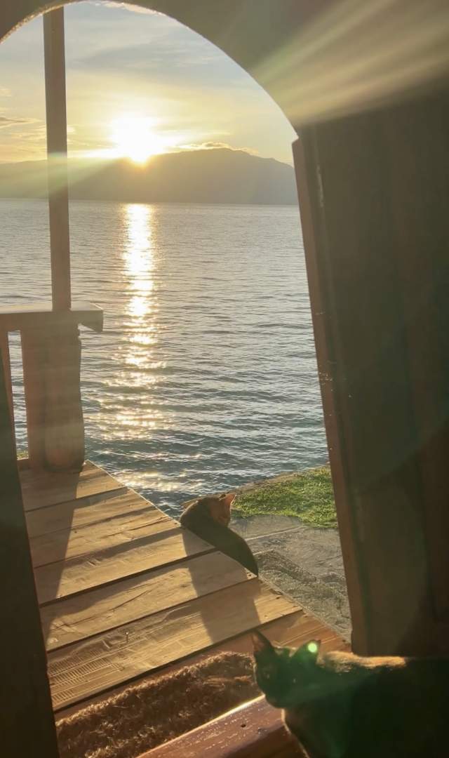 Фото 2 Фото 2