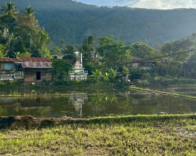 Фото 7 Фото 7