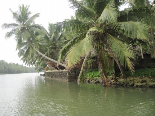Backwaters1