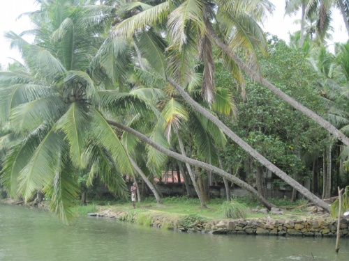 Backwaters2