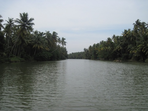 Backwaters3