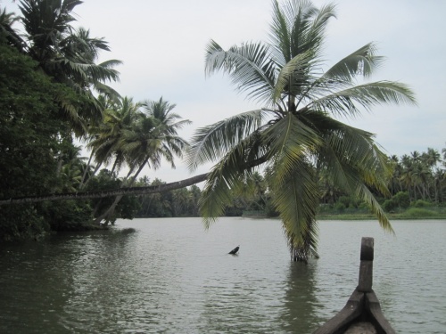 Backwaters4