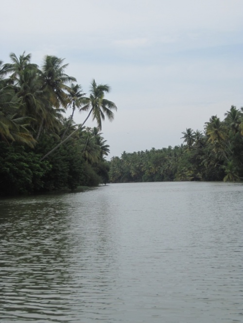 Backwaters5