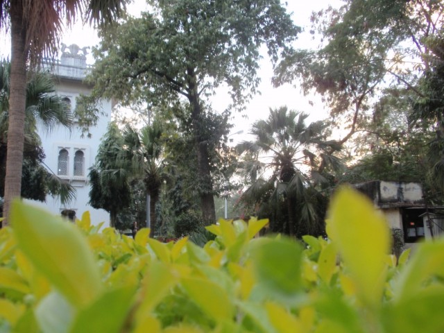  sight-seeing    Folk Dance( ),    .