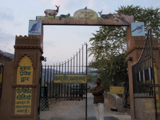        ))) -,  17:00       ))       !