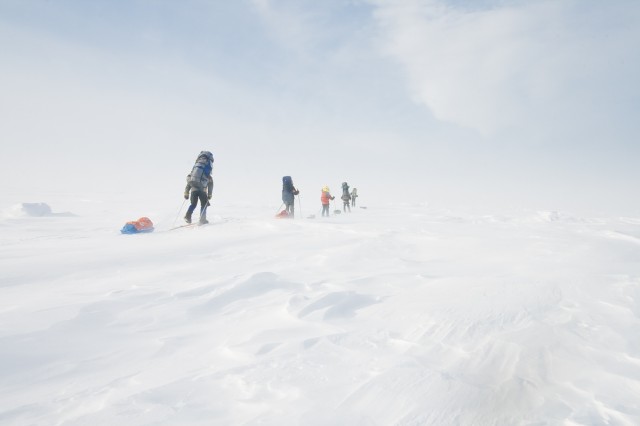 Куда то... Куда то...