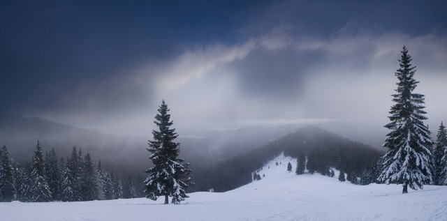 Игра ветра, света и снега Игра ветра, света и снега