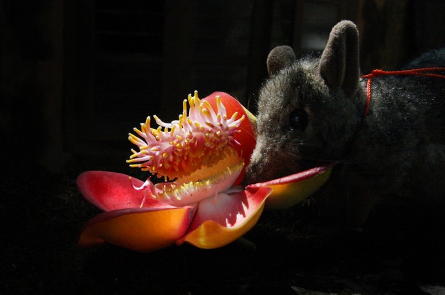 love you love you love you 127  .