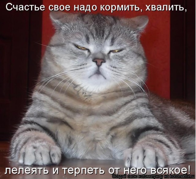 Будь счастлив, Котя! )