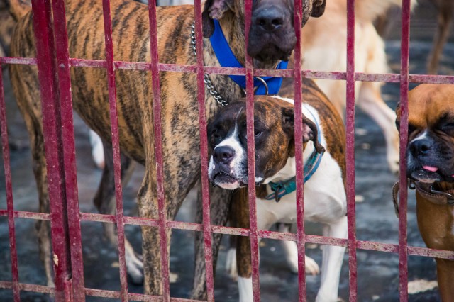 and more new friends!