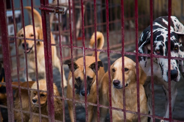 again new friends!!!