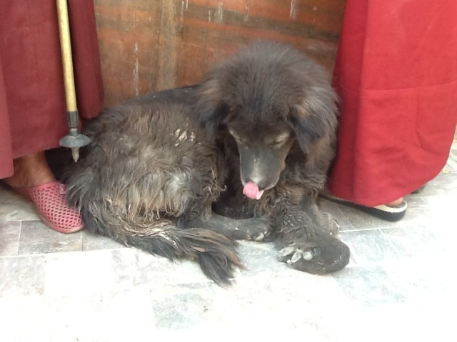 Фото 1 Фото 1