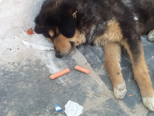 Этот отказался Этот отказался