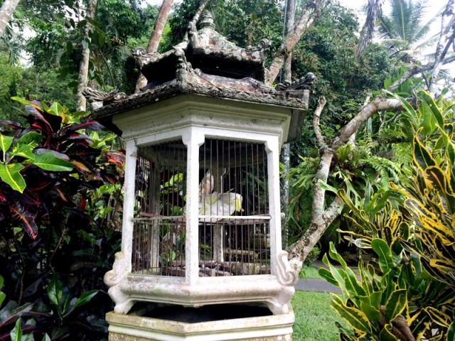 Pura Gunung Kawi Sebatu 7