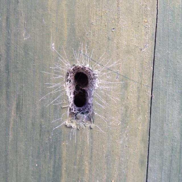 He told you, "I love you" He told you, "I love you"