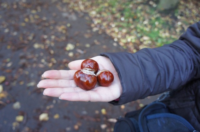      -    ,    ,          ))