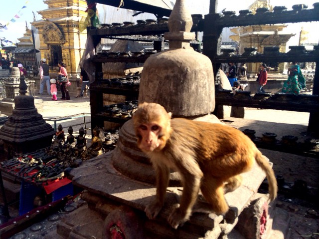 Swayambhunath Stupa 10