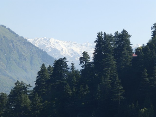 Фото 1 Фото 1