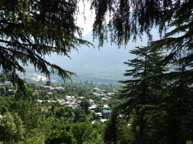 Фото 1 Фото 1