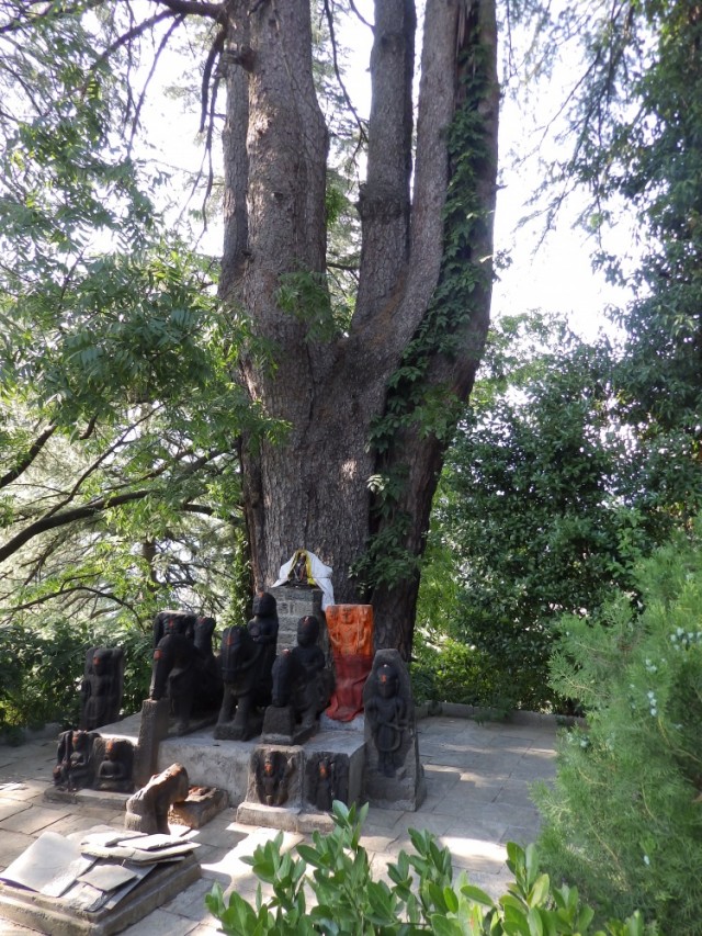 Фото 3 Фото 3