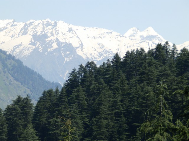 Фото 4 Фото 4