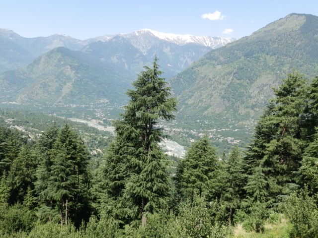 Фото 8 Фото 8