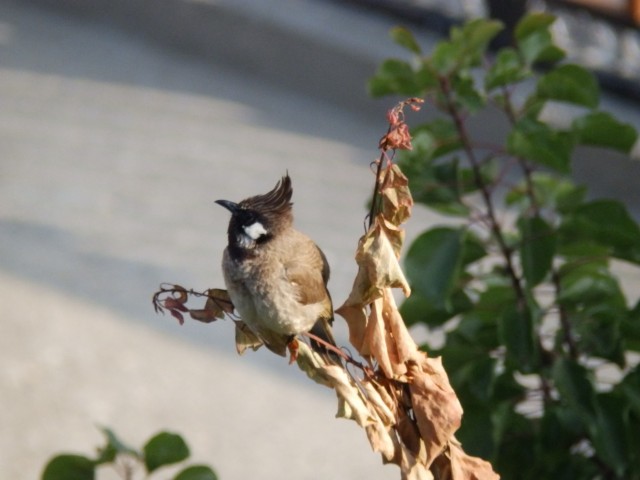 Фото 2 Фото 2