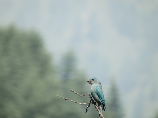 Фото 3 Фото 3