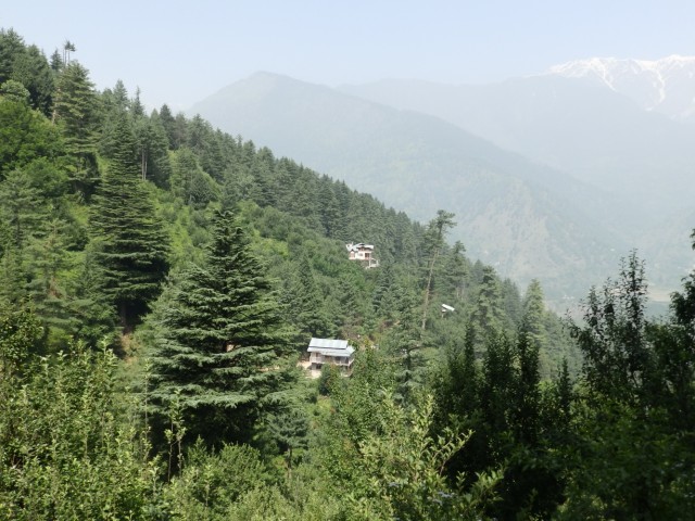 Фото 5 Фото 5