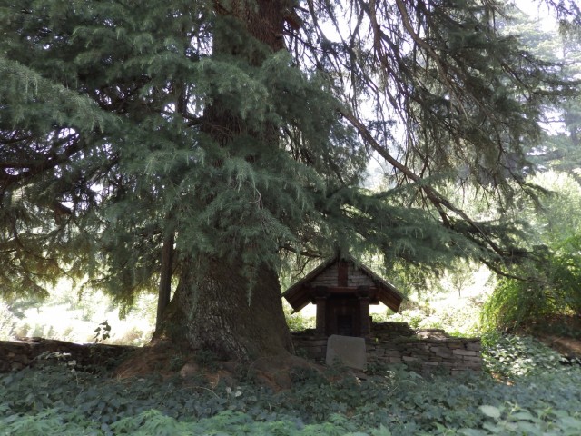 Фото 1 Фото 1