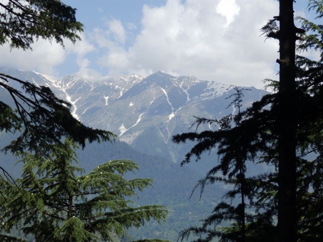 Фото 1 Фото 1