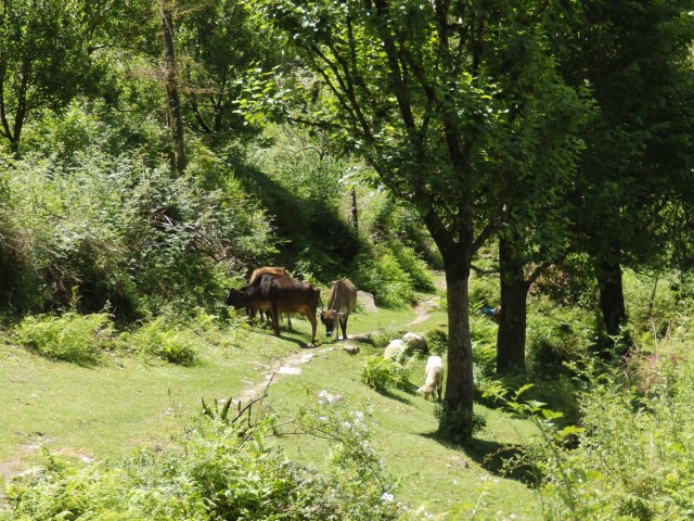 Фото 4 Фото 4