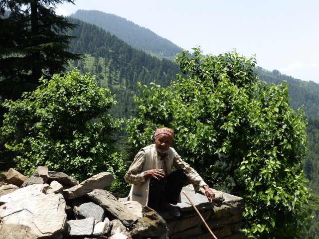 Фото 7 Фото 7