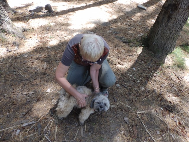 Фото 8 Фото 8