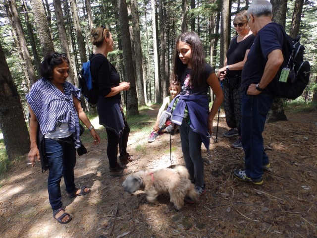 Фото 9 Фото 9