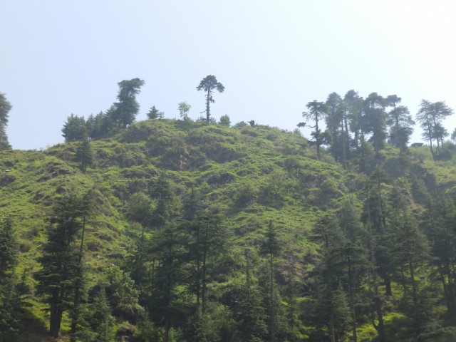 Фото 3 Фото 3