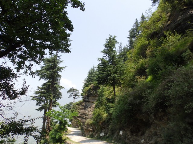 Фото 4 Фото 4