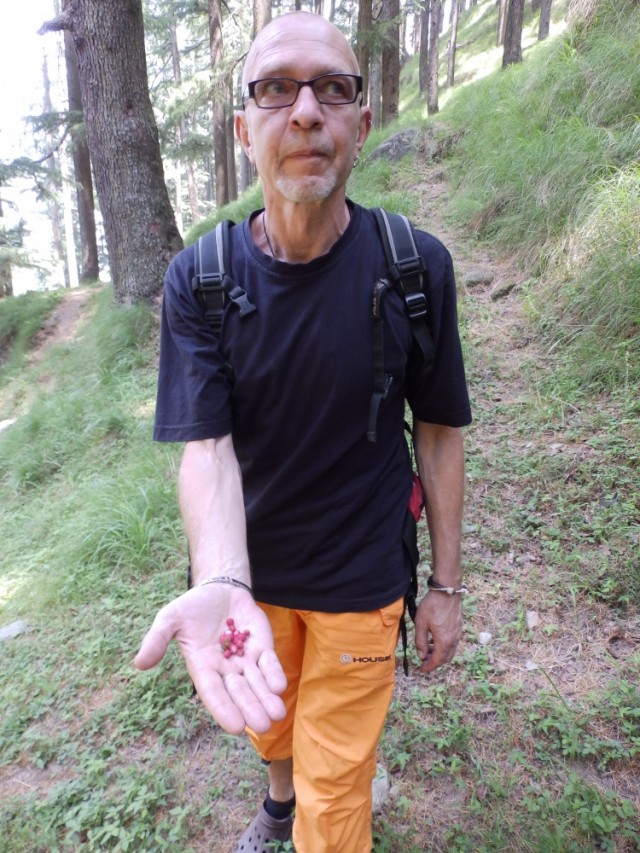 Фото 5 Фото 5