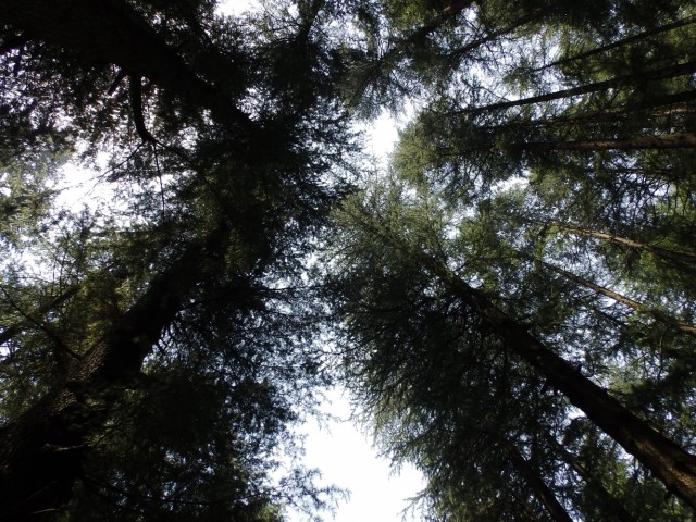 Фото 6 Фото 6