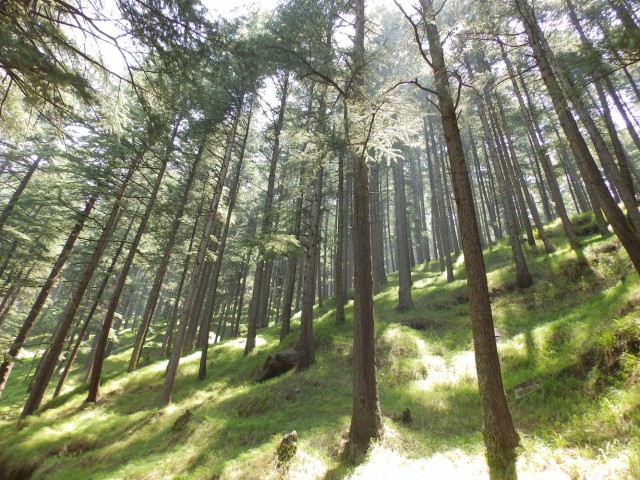 Фото 7 Фото 7