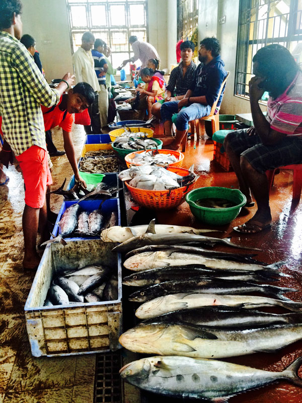 Fish Market. Mapusa 1