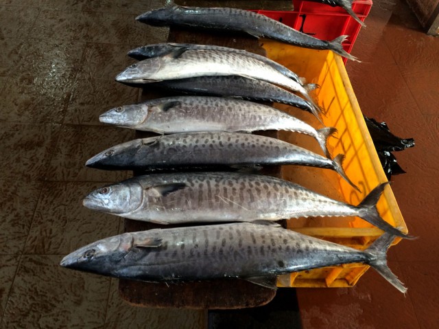 Fish Market. Mapusa 2
