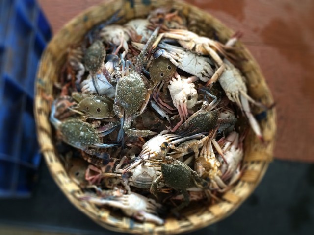 Fish Market. Mapusa 3