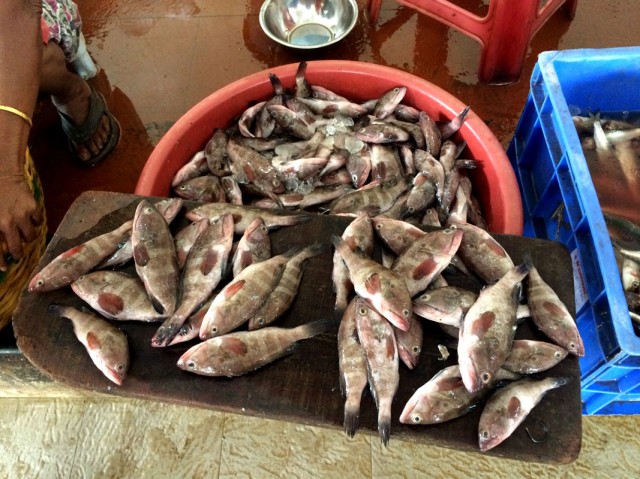 Fish Market. Mapusa 5