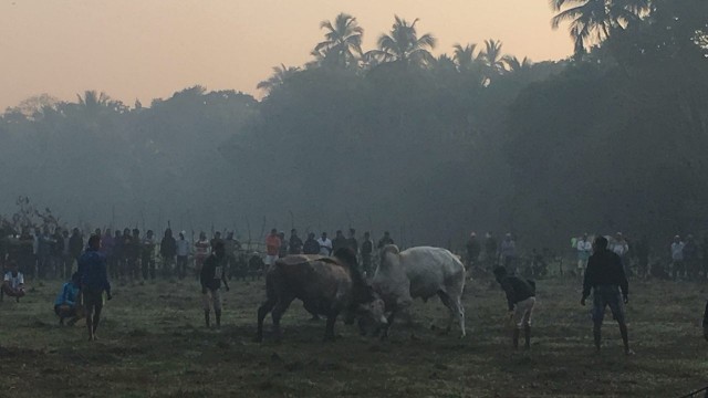  @IchLuk   - @drzblch