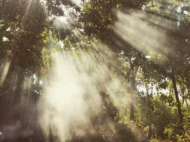 Фото 1 Фото 1