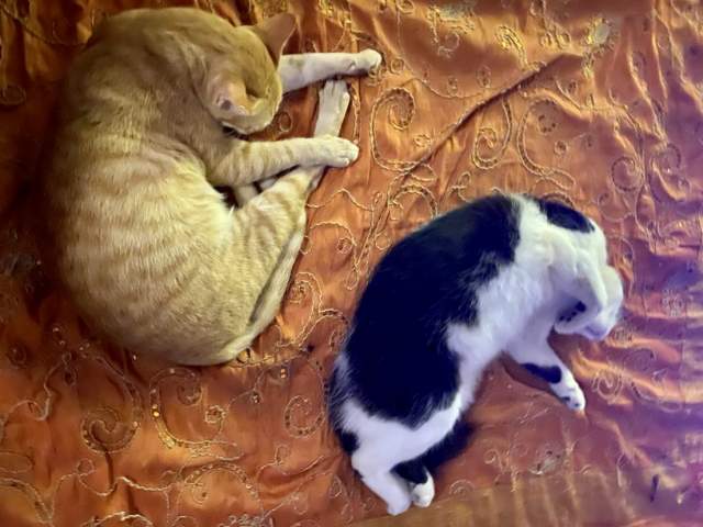 Фото 1 Фото 1