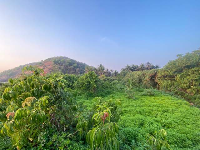 Фото 2 Фото 2