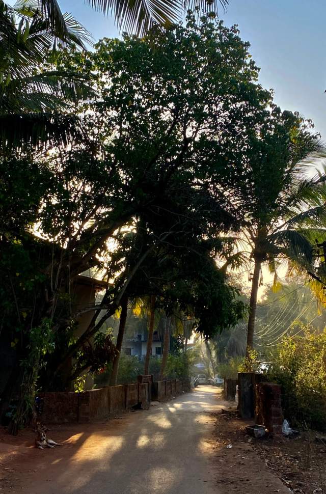 Фото 1 Фото 1