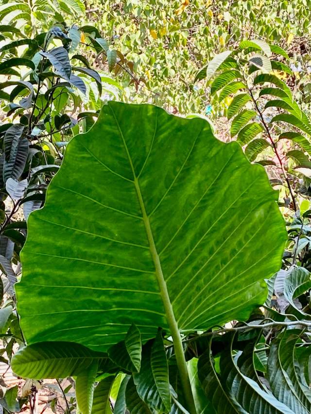 Фото 2 Фото 2